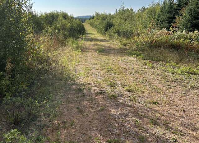 Property at 200 Acres CR 573 Rd, Ishpeming, MI 49849