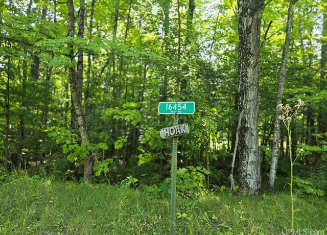 Property at 16454 Blue Rd, Nisula, MI 49952