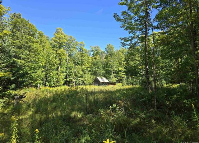 Property at 16454 Blue Rd, Nisula, MI 49952