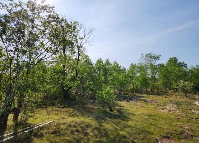 Property at 4935 Lindsey Ln, Gaylord, MI 49735