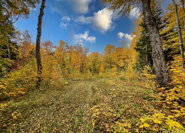 Property at On Chaney Lake Rd, Bessemer, MI 49911