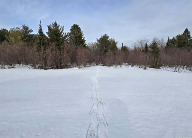 Property at TBD M 38 Hwy, Greenland, MI 49929