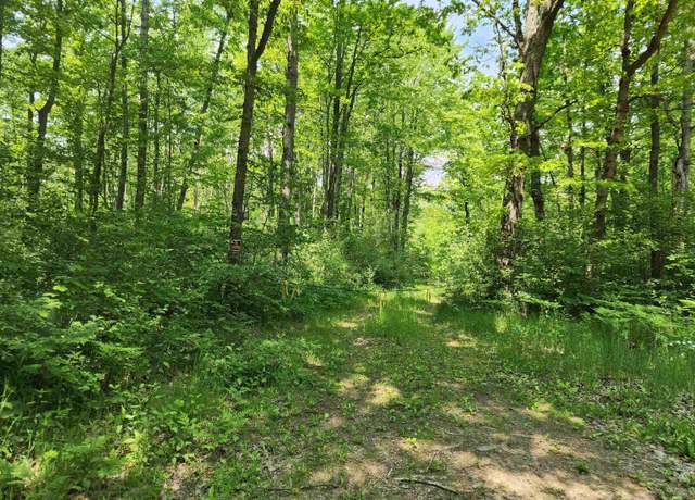 Property at 50 +/- Acres Mostetler Rd, Harrison, MI 48625