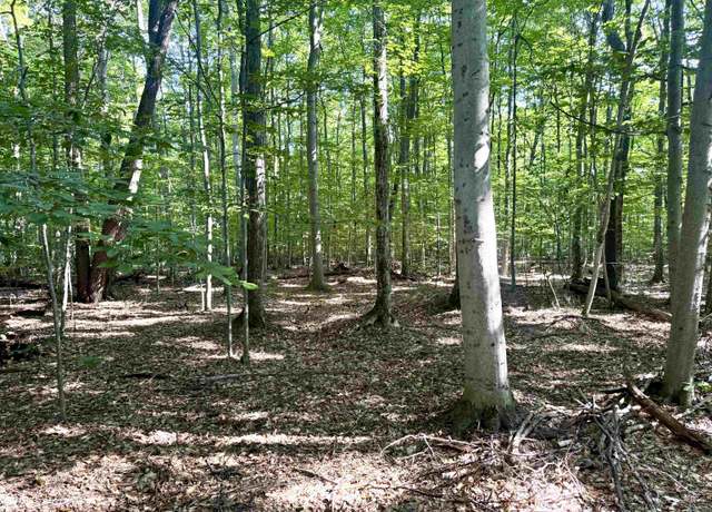 Property at 000 S Springview Dr, Empire, MI 49630