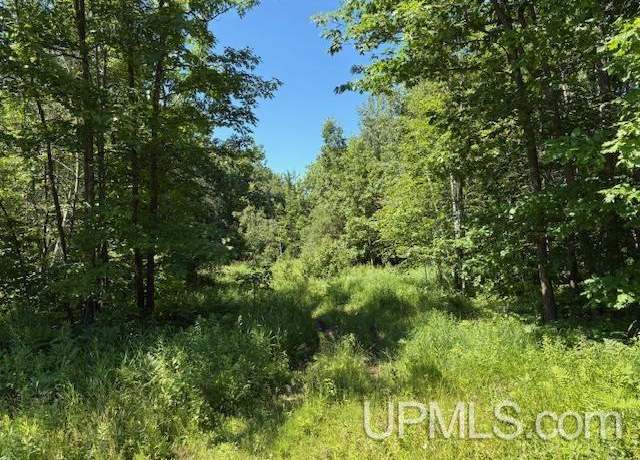 Property at TBD Sartoris Rd, Bessemer, MI 49911