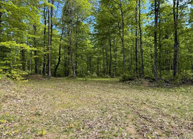 Property at TBD Off State Highway M-26 Hwy, Painesdale, MI 49955