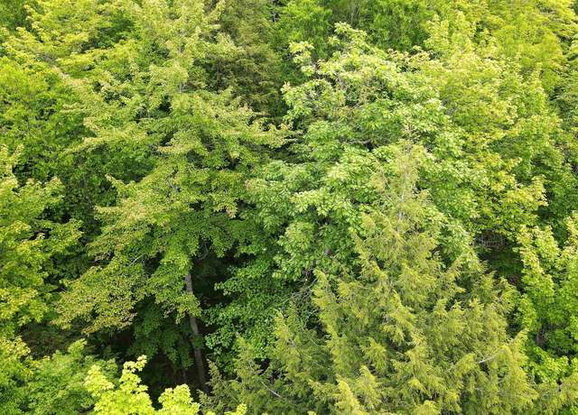 Property at tbd Off Donken Tapiola Rd, Toivola, MI 49965