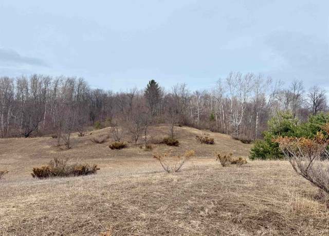 Property at 000 W Trumbull Rd Lot A, Maple City, MI 49664