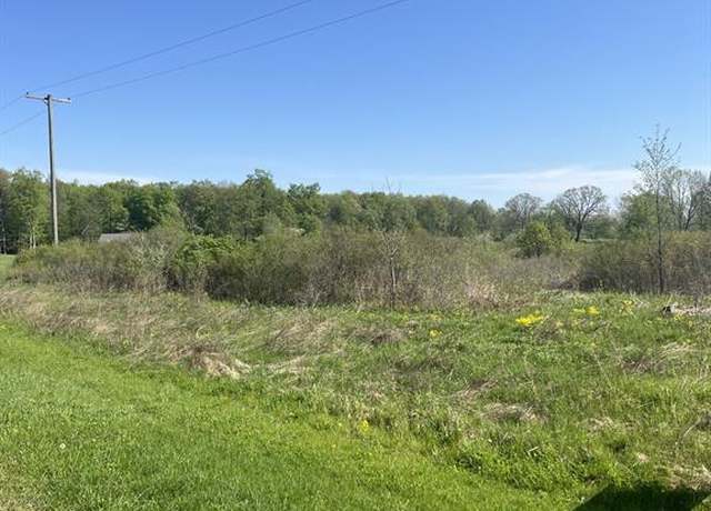 Property at VL TURTLE LAKE Rd, North Branch, MI 48461