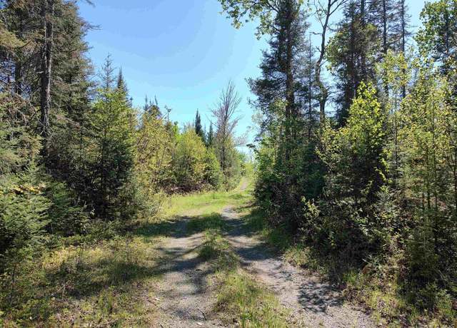 Property at 74 Acres US41 Hwy, Covington, MI 49919