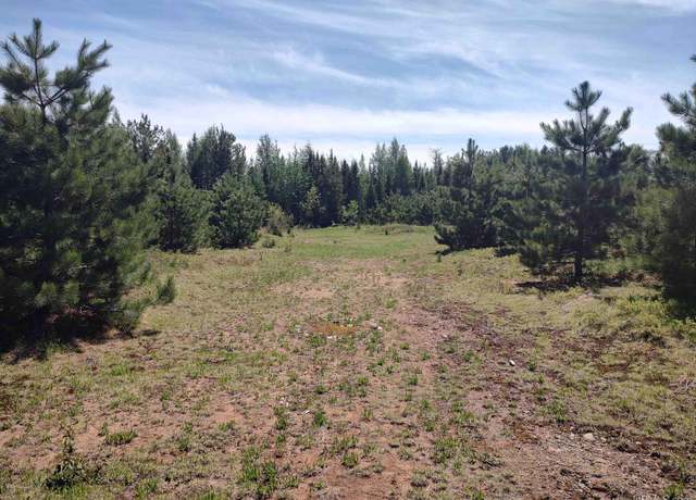 Property at 58 Acres Co RD FN Rd, Champion, MI 49814