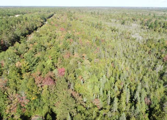 Property at TBD Co Rd 442 Rd Unit Parcel 2, Manistique, MI 49854