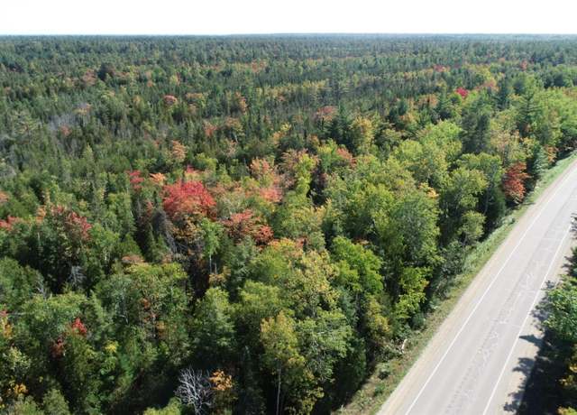 Property at TBD Co Rd 442 Rd, Manistique, MI 49854