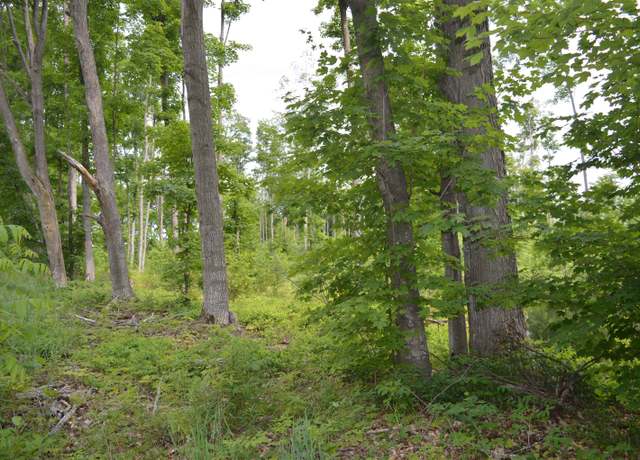 Property at Sparling Road, E, Kingsley, MI 49649