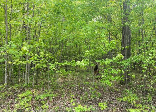 Property at Fribourg Dr Lot : 421, Reed City, MI 49677