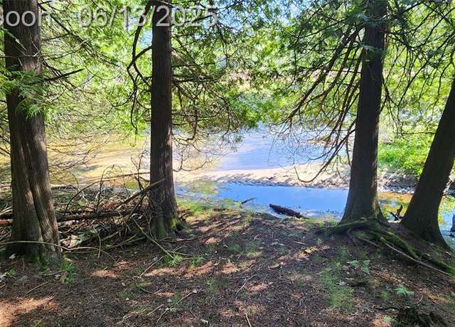 Property at 7397 Tammy Dr, Wolverine, MI 49749 9303