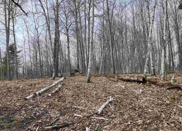 Property at TBD SMITH LAKE DR Dr, Manistique, MI 49854