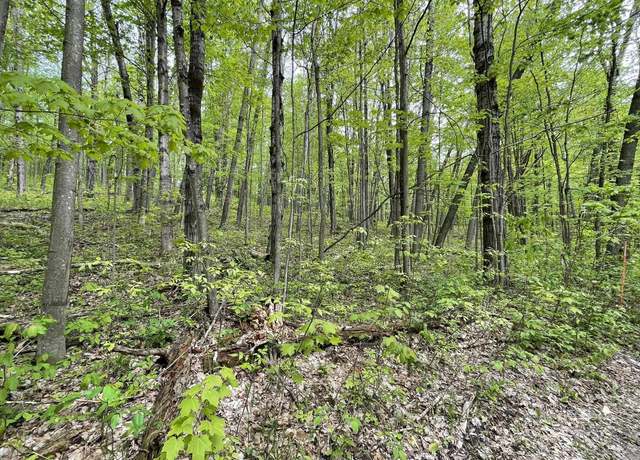 Property at 10A-Brandt Rd Crawford Rd, Mancelona, MI 49659