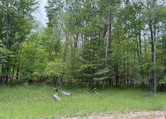 Property at 0 Pratt Lake Rd, Gladwin, MI 48624