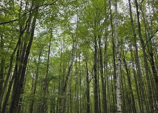 Property at TBD S Chippewa, Mount Pleasant, MI 48858