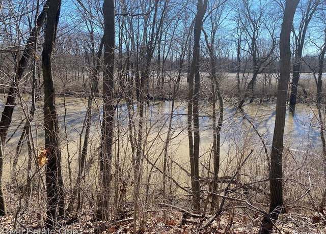 Property at Vacant Stowell Rd, Dundee, MI 48131