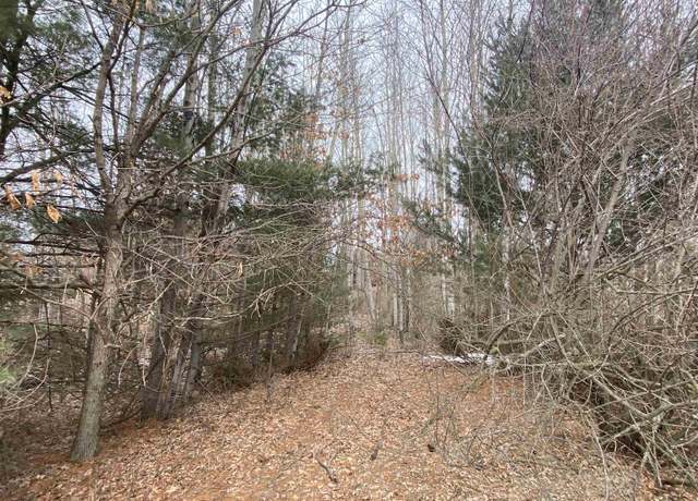 Property at Lot 33 Scenic Hills Dr Lot : 33, Williamsburg, MI 49690