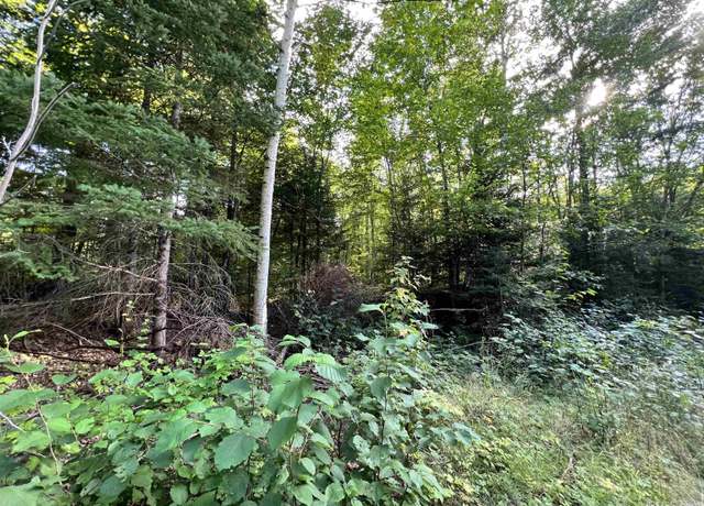 Property at Lot 159 Blue Rd, Nisula, MI 49952