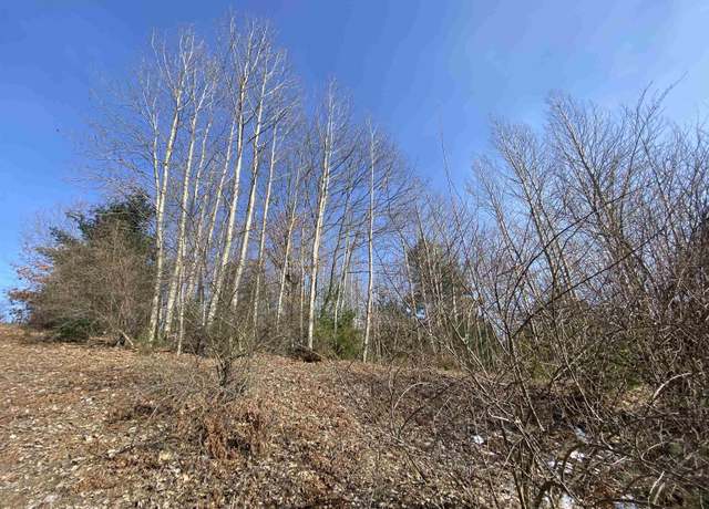 Property at Lot 34 Scenic Hills Dr Lot : 34, Williamsburg, MI 49690