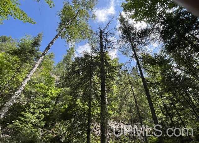 Property at 20 Acres off Willow Creek Rd, Ishpeming, MI 49849