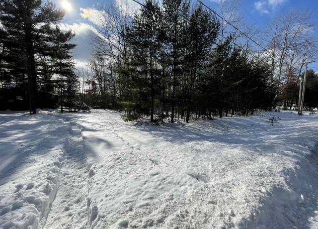 Property at Whitetail St, Alger, MI 48610