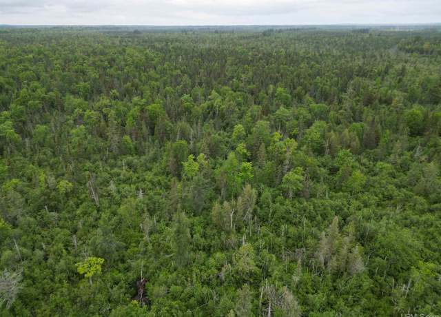 Property at TBD Off EE.25 Rd, Rapid River, MI 49878
