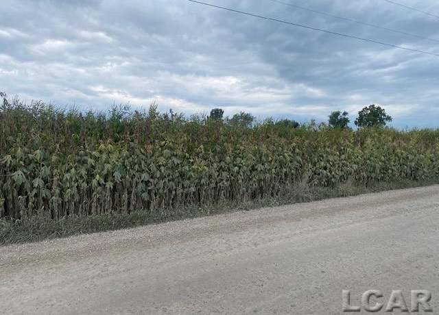 Property at 0 McCullum Rd, Manchester, MI 48158
