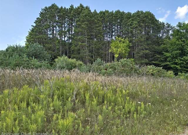 Property at 00B 11 Mile Rd, Bear Lake, MI 49614