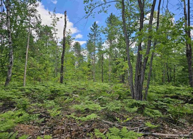 Property at 253 Beauyan Lake Rd, Little Lake, MI 49833