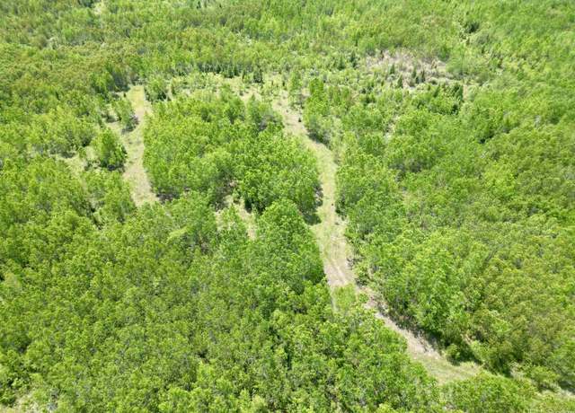 Property at TBD CR 400 Rd, Perronville, MI 49807