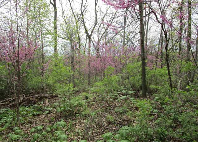 Property at 11000 Killarny Hwy, Brooklyn, MI 49265