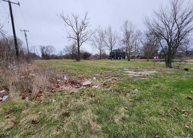 Property at 994 KITCHENER St, Detroit, MI 48215 2999