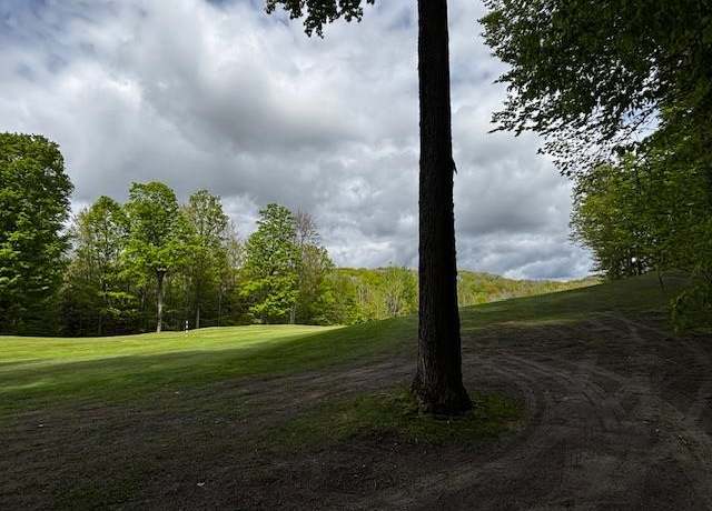 Property at Unit 24 Forest Trl, Bellaire, MI 49615