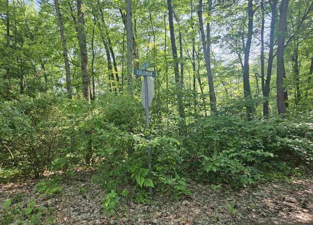 Property at 524 Coleman St, Harrison, MI 48625