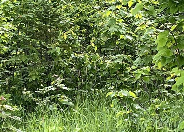 Property at TBD Fair Oaks Rd, Ewen, MI 49925