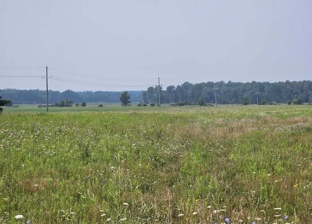 Property at Vacant Old 51 Rd, Carsonville, MI 48419