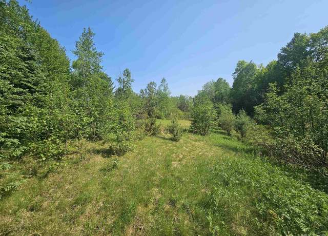Property at 17.25 AC Division St, Iron River, MI 49935