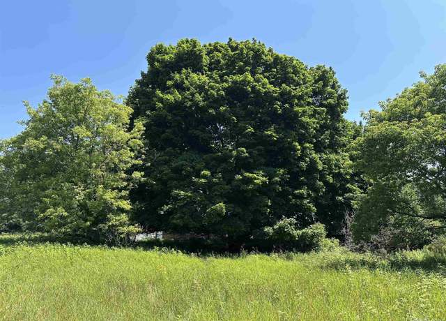 Property at TBD NW Arbutus Ave Ave, Manistique, MI 49854