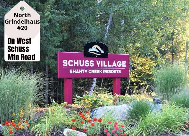 Property at 20 W Schuss Mountain Dr, Bellaire, MI 49615