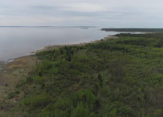 Property at 186 Acres County Road 503 Rd, Rapid River, MI 49878