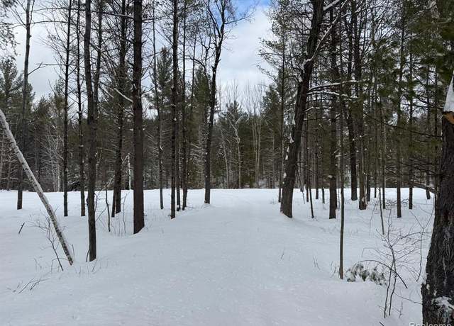 Property at 385 East Greenwood Rd, Alger, MI 48610