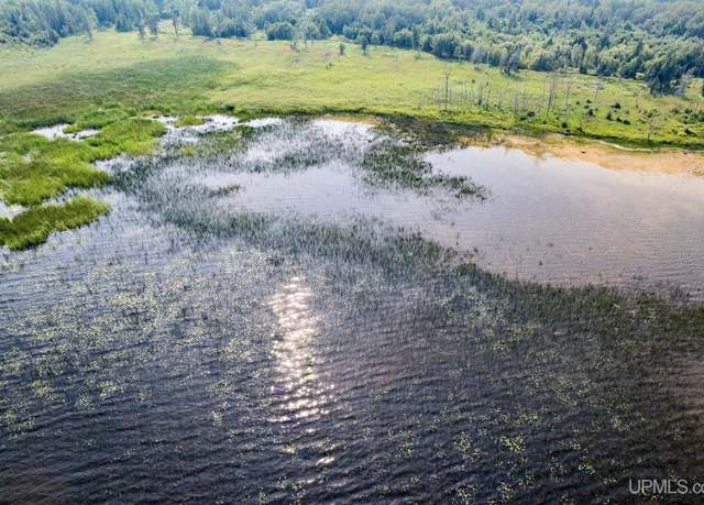 Property at TBD CR503 Rd, Rapid River, MI 49878
