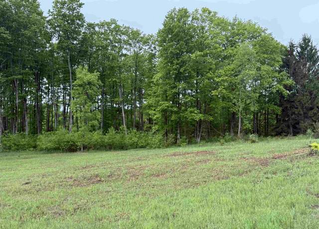 Property at Parcel A6 S Bright Rd Lot : A6, Maple City, MI 49664