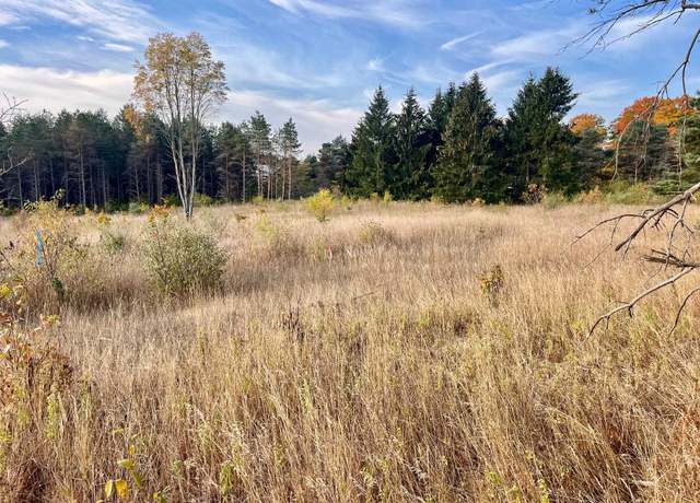 Property at Parcel A1 E Kasson Rd Lot : A1, Maple City, MI 49664