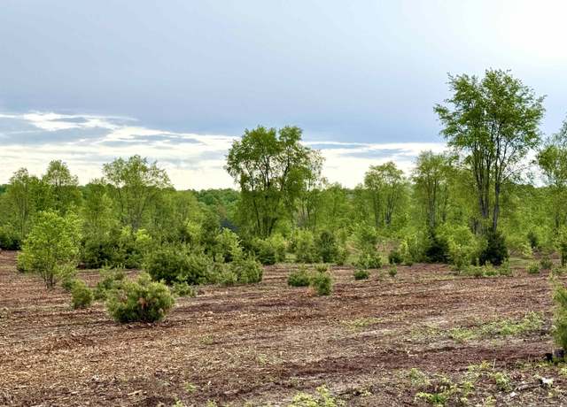 Property at Parcel A8 S Bright Rd Lot : A8, Maple City, MI 49664